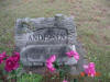 Andersen marker